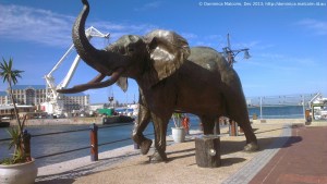 Elephant sculpture at the V&A Waterfront, Cape Town, South Africa